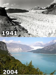 Muir Glacier Comparison